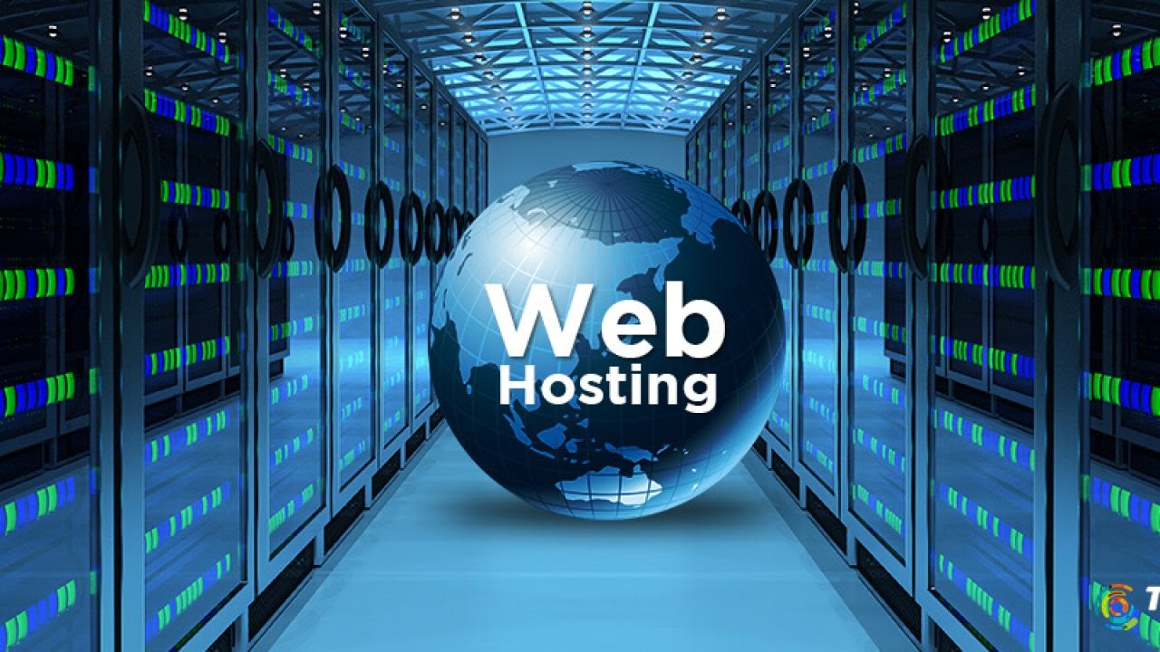 Web hosting solutions 24