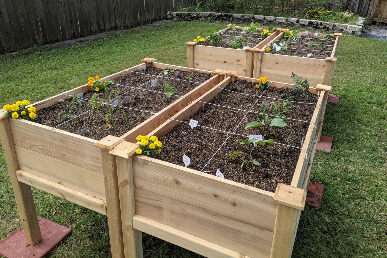 Diy raised garden beds